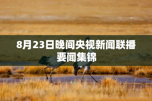 8月23日晚间央视新闻联播要闻集锦