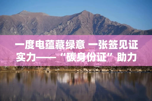 一度电蕴藏绿意 一张签见证实力——“碳身份证”助力浙企出海