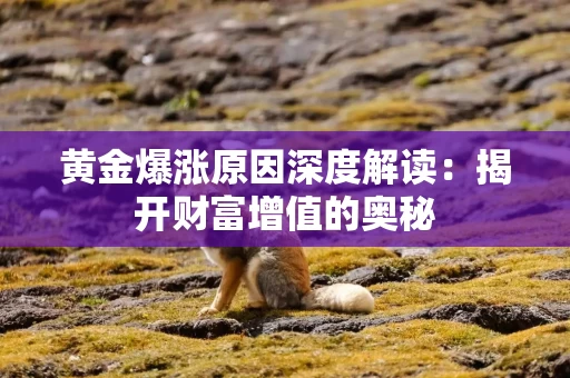 黄金爆涨原因深度解读：揭开财富增值的奥秘