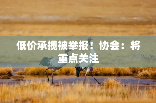低价承揽被举报！协会：将重点关注