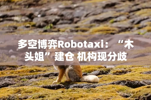 多空博弈Robotaxi：“木头姐”建仓 机构现分歧