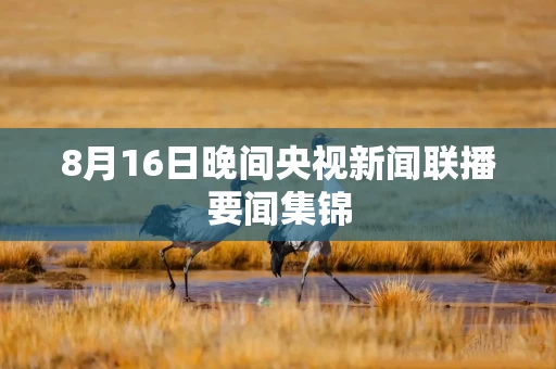 8月16日晚间央视新闻联播要闻集锦