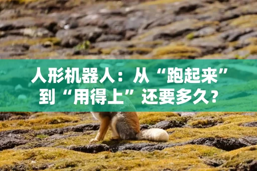 人形机器人：从“跑起来”到“用得上”还要多久？