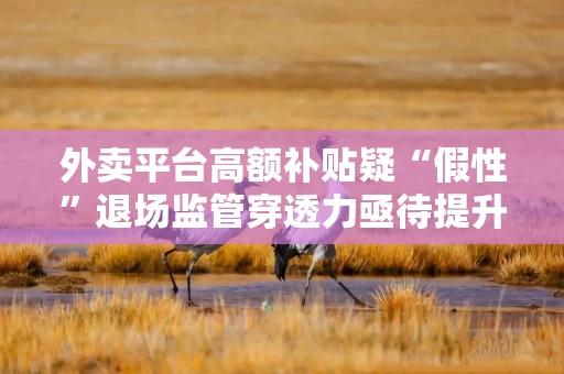 外卖平台高额补贴疑“假性”退场监管穿透力亟待提升