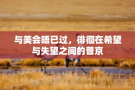 与美会晤已过，徘徊在希望与失望之间的普京