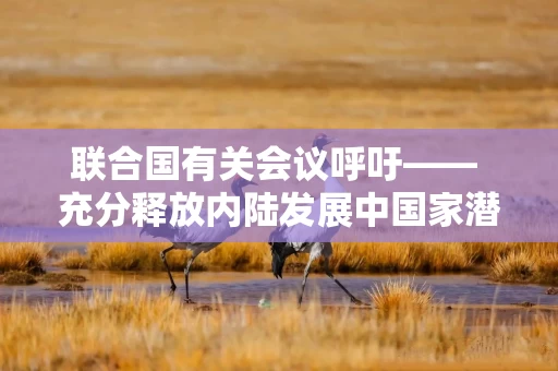 联合国有关会议呼吁—— 充分释放内陆发展中国家潜能