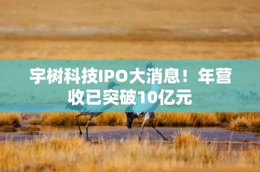 宇树科技IPO大消息！年营收已突破10亿元