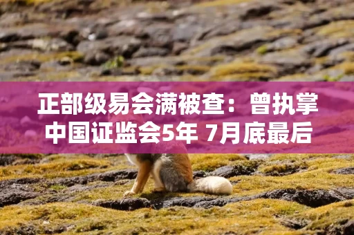 正部级易会满被查：曾执掌中国证监会5年 7月底最后一次露面