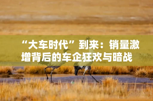 “大车时代”到来：销量激增背后的车企狂欢与暗战