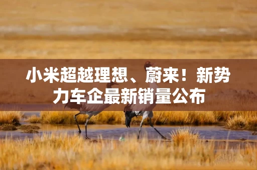 小米超越理想、蔚来！新势力车企最新销量公布
