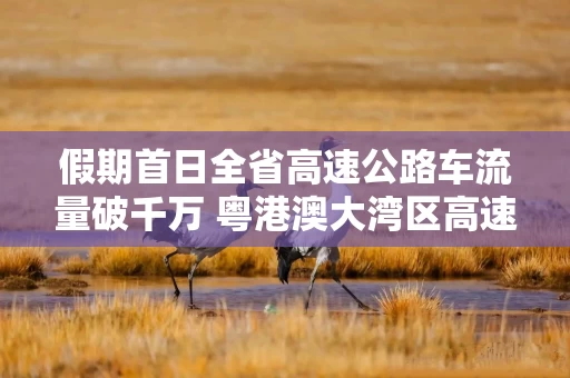 假期首日全省高速公路车流量破千万 粤港澳大湾区高速公路车流量同比增长15.14%