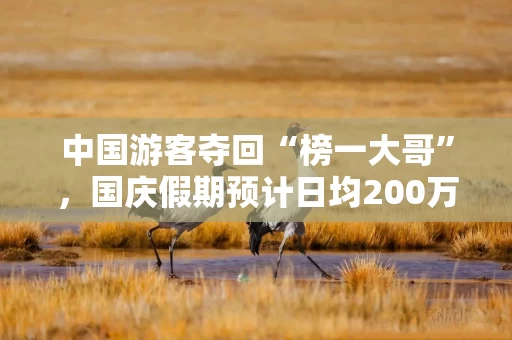 中国游客夺回“榜一大哥”，国庆假期预计日均200万人出境，“老网红”泰国失宠