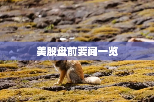 美股盘前要闻一览