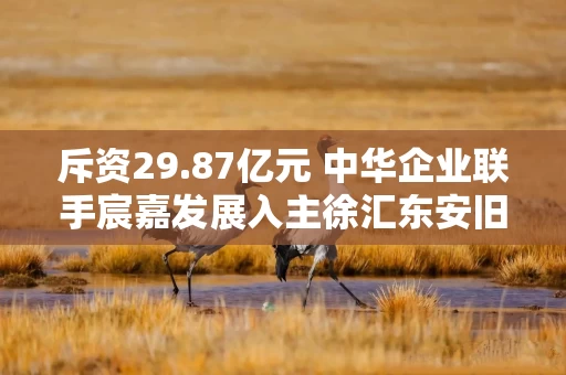 斥资29.87亿元 中华企业联手宸嘉发展入主徐汇东安旧改核心地块