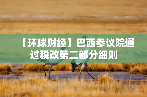 【环球财经】巴西参议院通过税改第二部分细则
