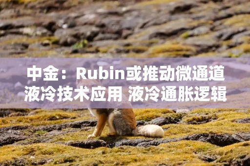 中金：Rubin或推动微通道液冷技术应用 液冷通胀逻辑再强化