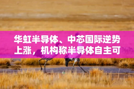 华虹半导体、中芯国际逆势上涨，机构称半导体自主可控逻辑加强