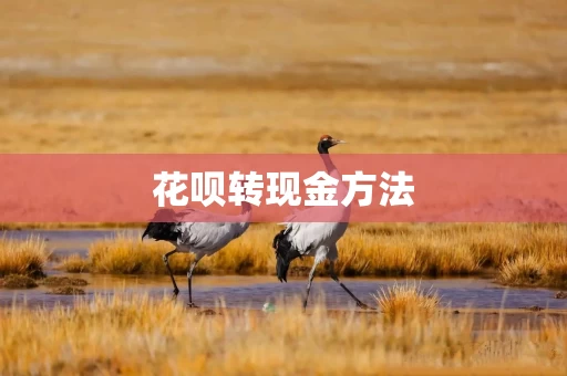 花呗转现金方法