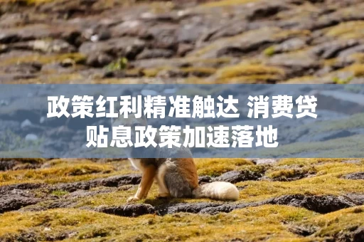 政策红利精准触达 消费贷贴息政策加速落地