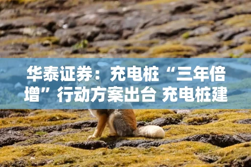 华泰证券：充电桩“三年倍增”行动方案出台 充电桩建设有望提速