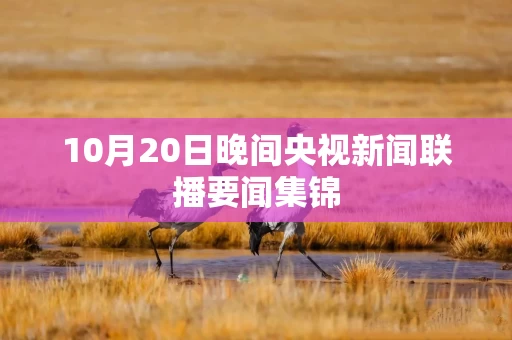 10月20日晚间央视新闻联播要闻集锦