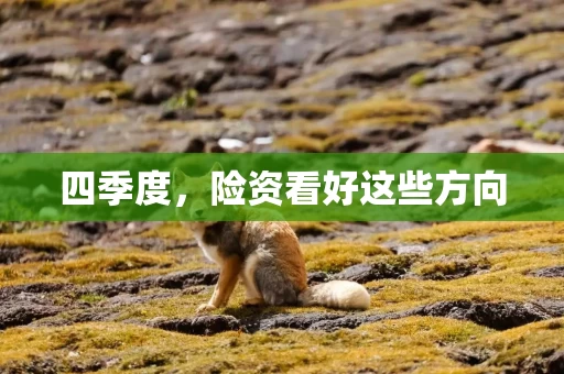 四季度，险资看好这些方向