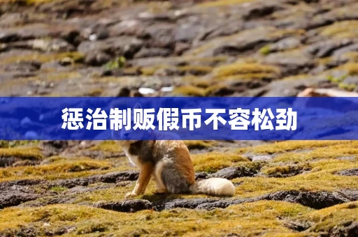 惩治制贩假币不容松劲