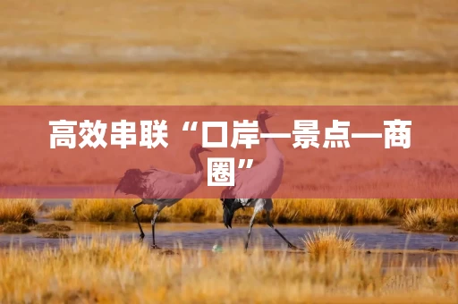 高效串联“口岸—景点—商圈”