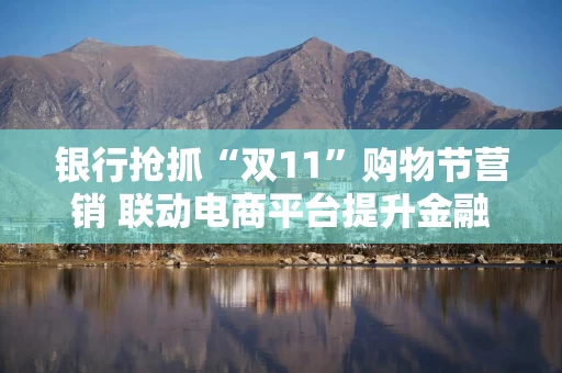 银行抢抓“双11”购物节营销 联动电商平台提升金融服务体验
