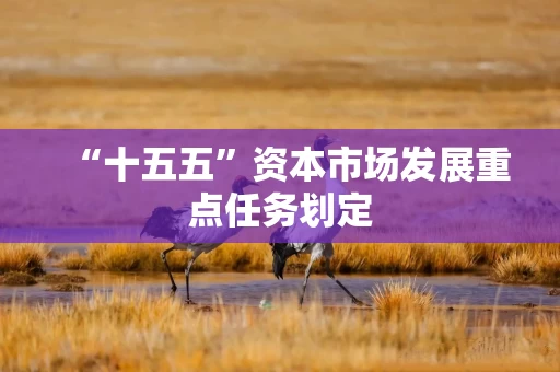 “十五五”资本市场发展重点任务划定