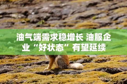 油气端需求稳增长 油服企业“好状态”有望延续