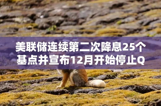 美联储连续第二次降息25个基点并宣布12月开始停止QT 鲍威尔称12月可能暂停降息