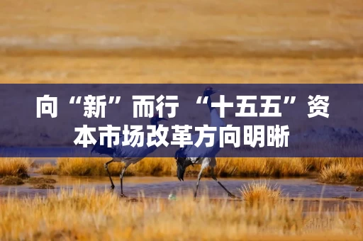 向“新”而行 “十五五”资本市场改革方向明晰