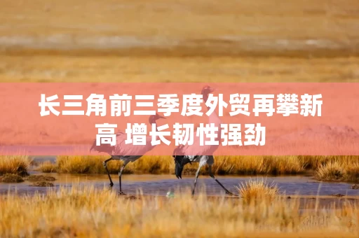 长三角前三季度外贸再攀新高 增长韧性强劲