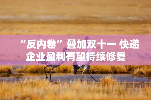 “反内卷”叠加双十一 快递企业盈利有望持续修复