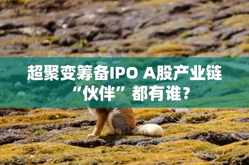 超聚变筹备IPO A股产业链“伙伴”都有谁？