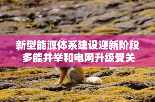 新型能源体系建设迎新阶段 多能并举和电网升级受关注