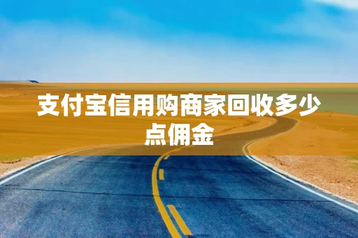 支付宝信用购商家回收多少点佣金