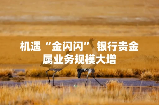 机遇“金闪闪” 银行贵金属业务规模大增