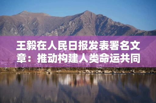 王毅在人民日报发表署名文章:推动构建人类命运共同体