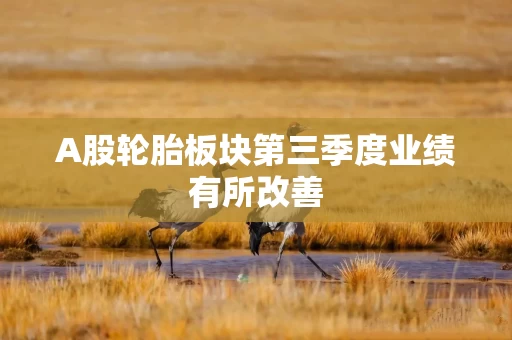 A股轮胎板块第三季度业绩有所改善