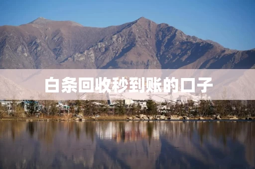 白条回收秒到账的口子