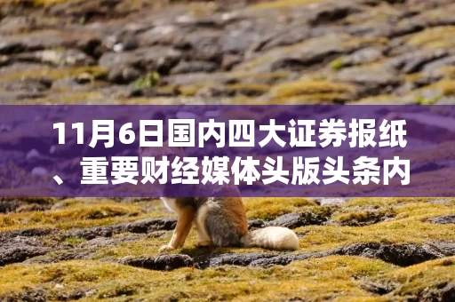 11月6日国内四大证券报纸、重要财经媒体头版头条内容精华摘要