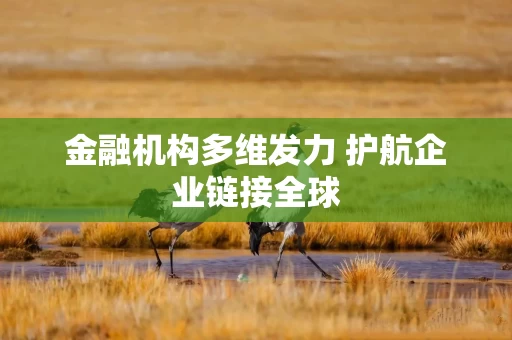 金融机构多维发力 护航企业链接全球