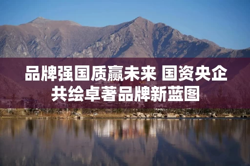 品牌强国质赢未来 国资央企共绘卓著品牌新蓝图