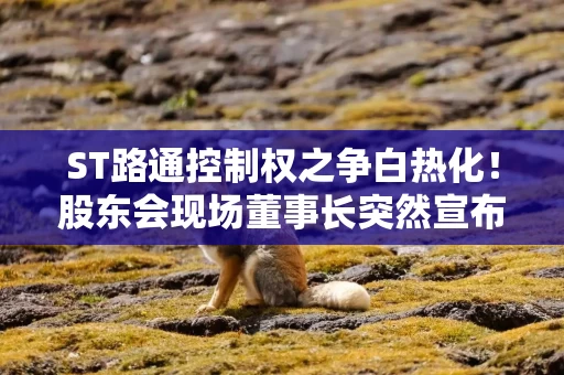 ST路通控制权之争白热化!股东会现场董事长突然宣布取消离场 吴世春等股东坚持走完流程 结果仍未公告