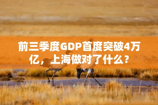 前三季度GDP首度突破4万亿，上海做对了什么？