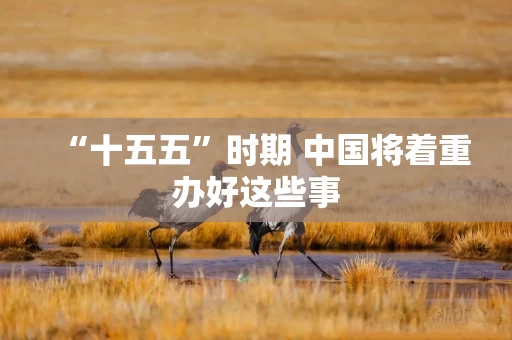 “十五五”时期 中国将着重办好这些事