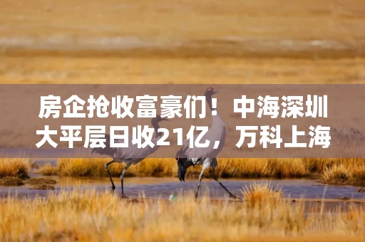房企抢收富豪们!中海深圳大平层日收21亿,万科上海一亿一套的顶豪“日光”