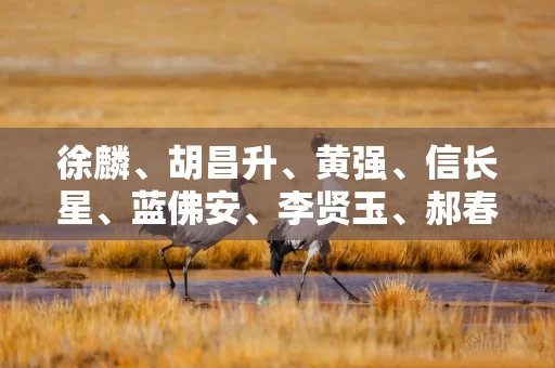 徐麟、胡昌升、黄强、信长星、蓝佛安、李贤玉、郝春侠、阴和俊 出镜谈学习贯彻四中全会精神